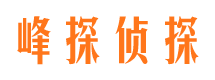 广西市调查公司